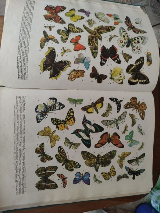 Общо 20 лв. Книга Кратка енциклопедия на България в 5 тома