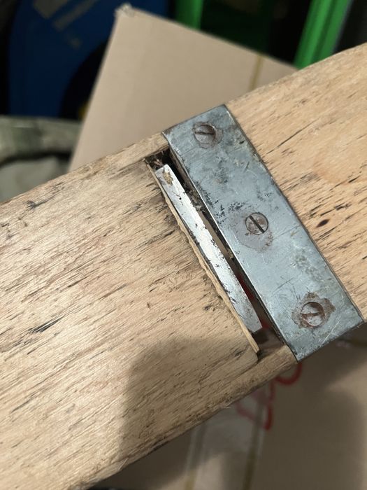 Rindea mare OANL . Suedia