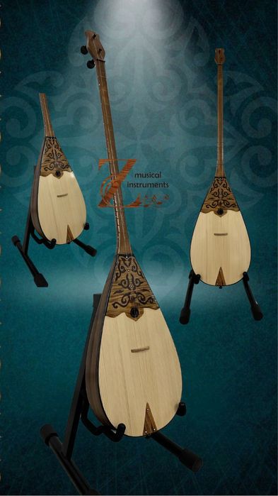 Домбыра кәсіби және әуесқой