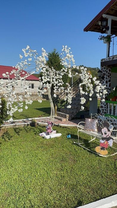 Aranjamente nunți ,botezuri