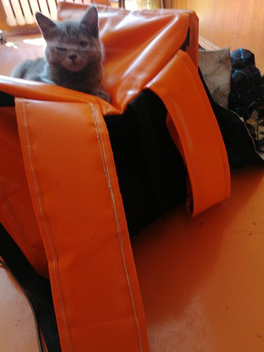 Продам Термокороб для доставки