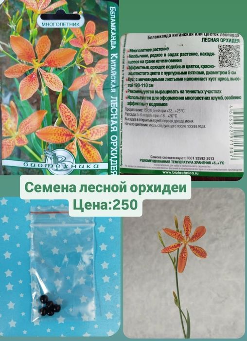 Продаю семени цветов