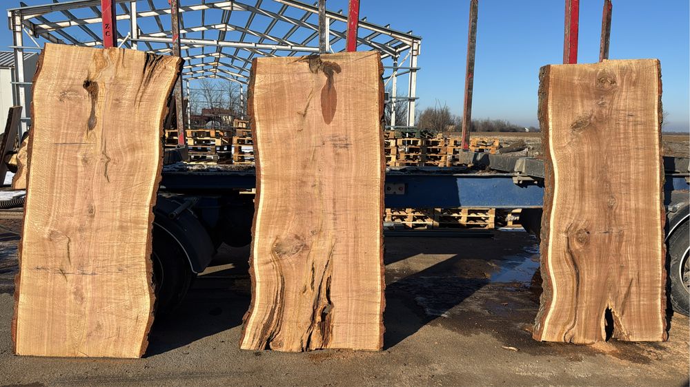 Blaturi masa stejar dintr o singura bucata verde!