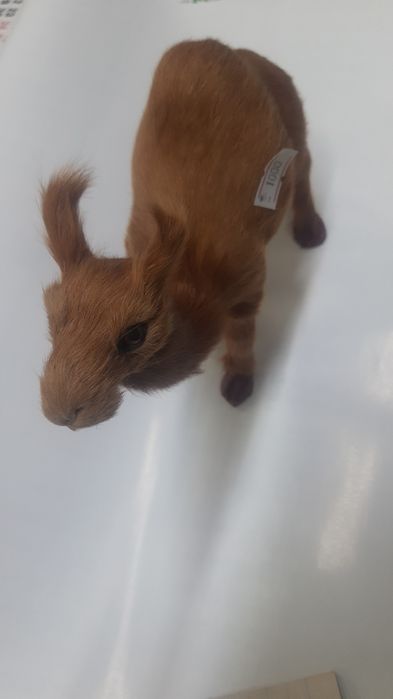 Сувенир верблюд ткань.керамика..