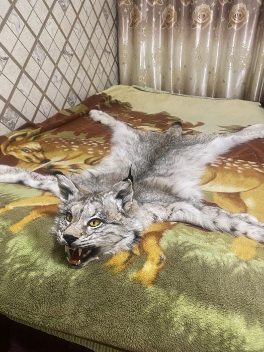 Продам ковёр рыси