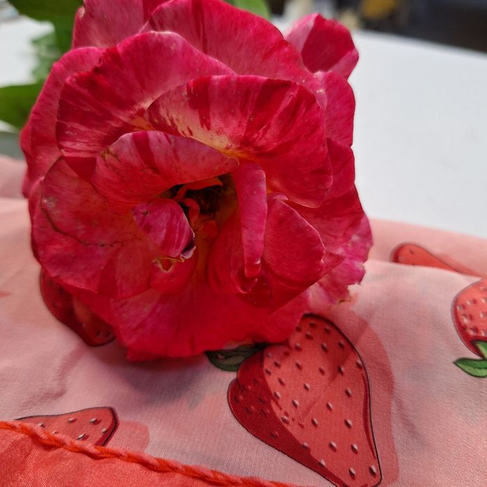 Esarfa matase Sergio! Capsunele!