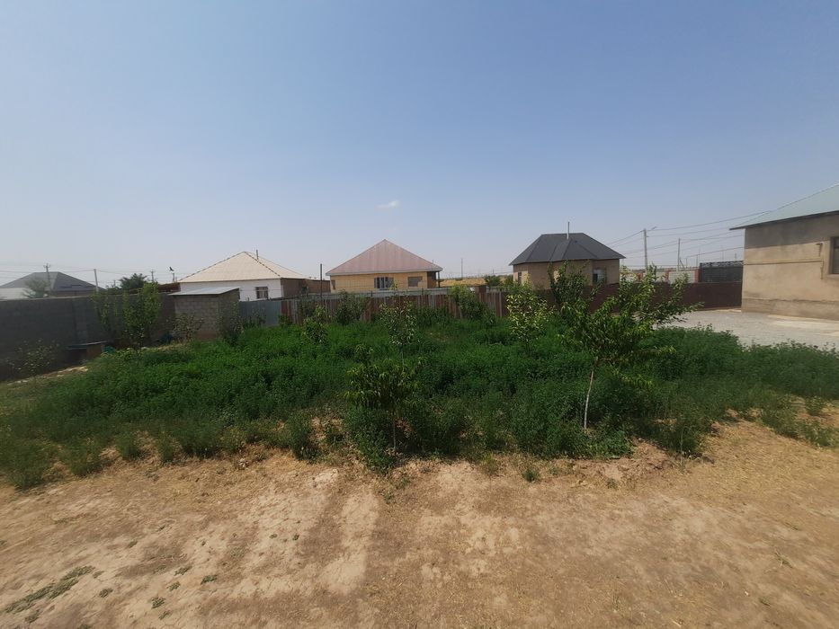 Жонышқа  люцерна торг есть