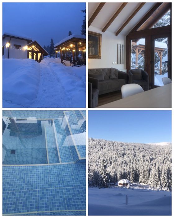 Liber 6/8 feb Cabana de inchiriat ciubar piscina Belis Marisel schi