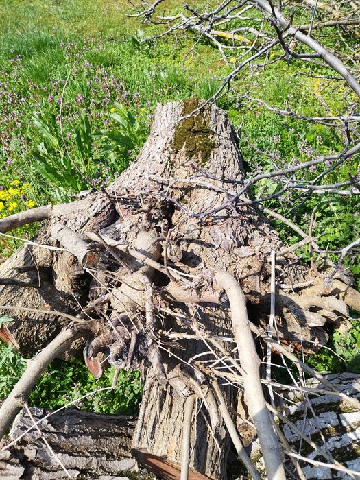 Дървен материал !