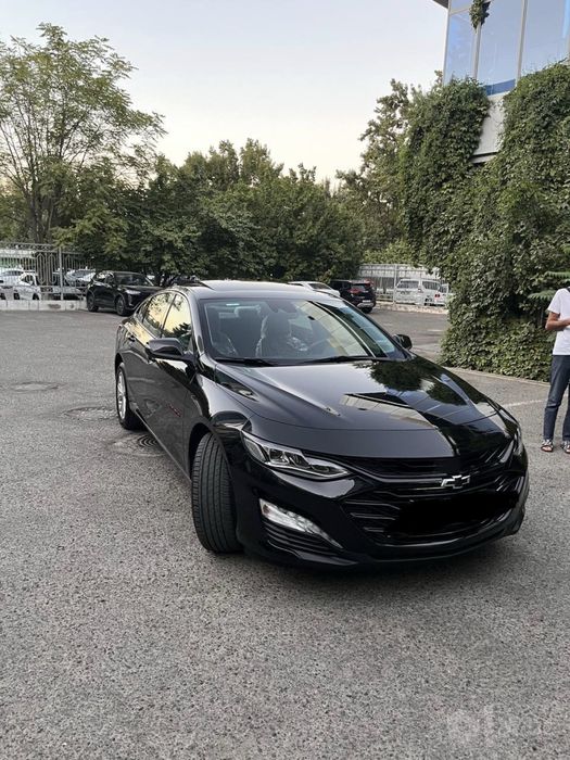 Malibu 2 XL 2023