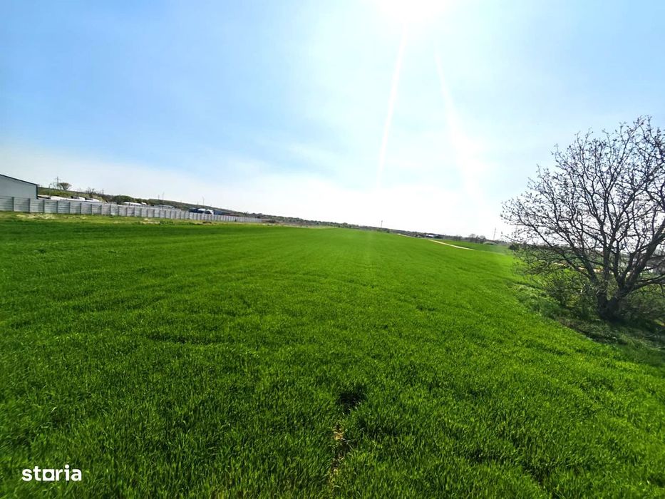 Teren intravilan | Dragomiresti Vale | Sat Zurbaua IF | INVESTITIE