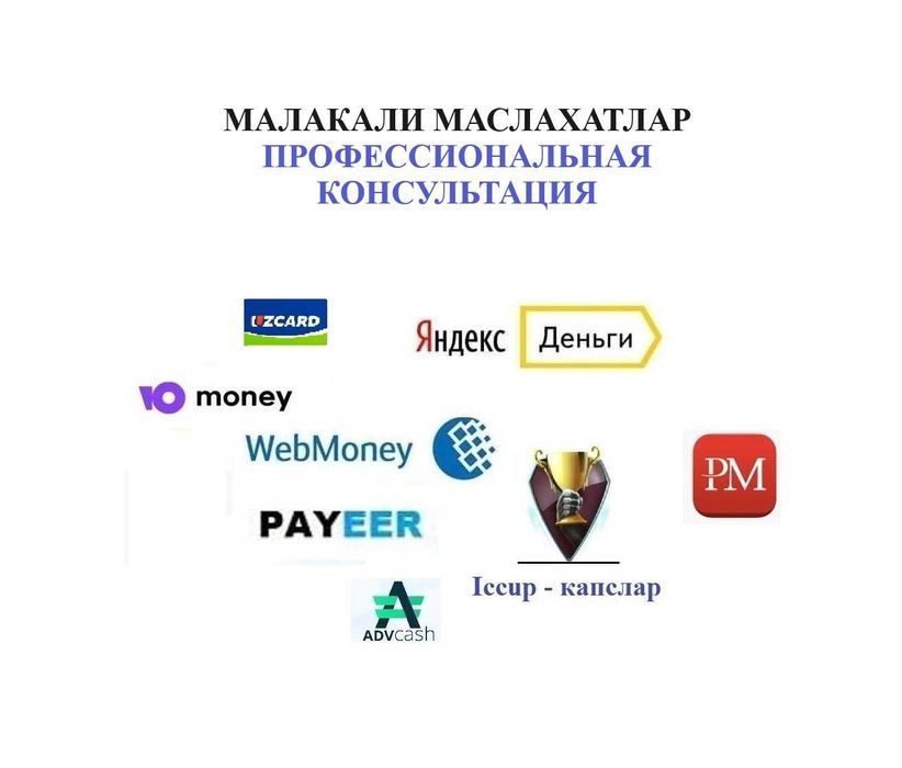 Малакали маслахатлар Webmoney, Профессиональная консультация Вебмани