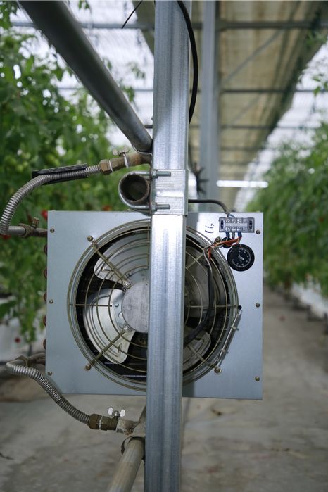 Карейский техналогия парник зўр холатда