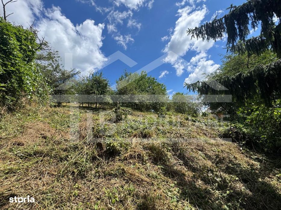 Casa cu 3 camere, 2300mp teren, zona SubPadure