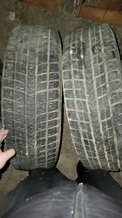 Қысқы балон Корейски