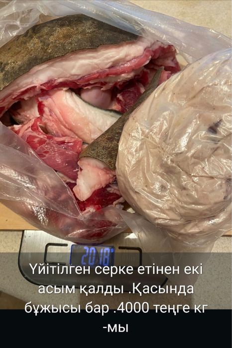 қозының лақтың еті сатылады