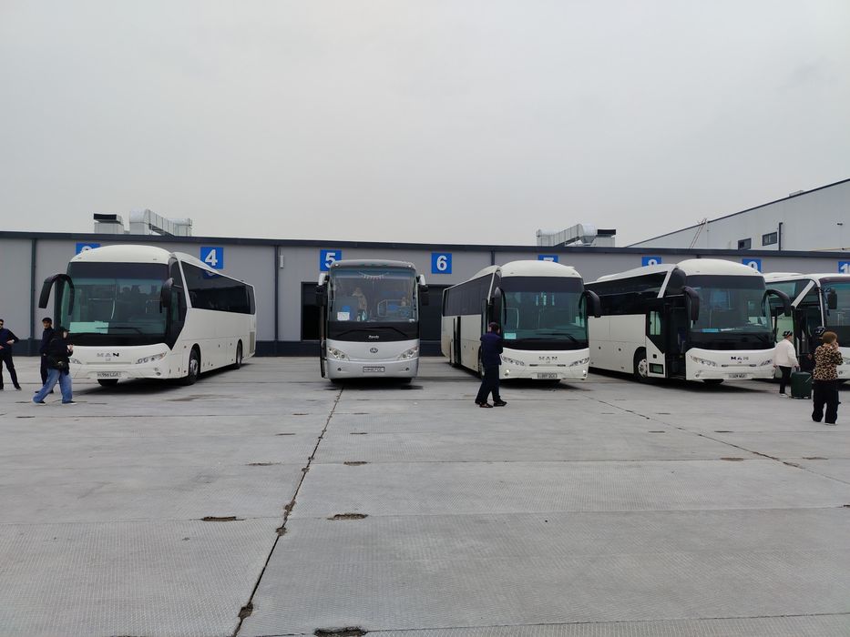 Заказ автобусов. Buyurtma avtobus. Yutong 51  место