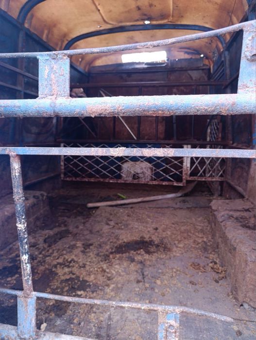 Avia 21 propan gazda srochna