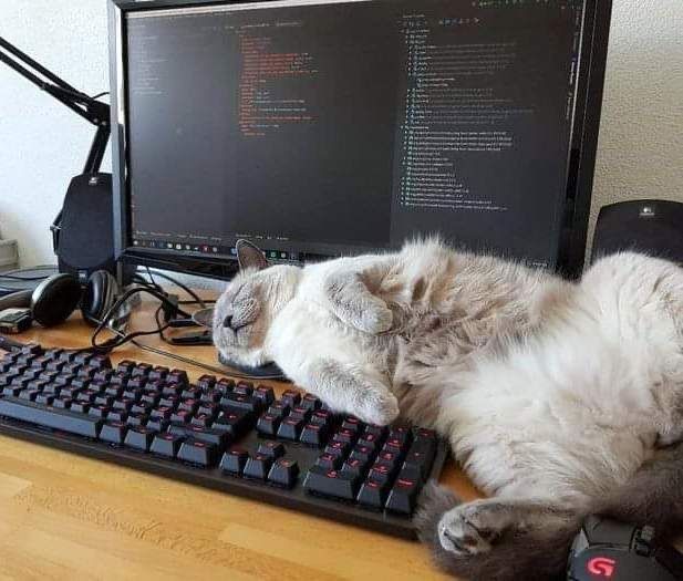 Meditații programare pentru copii – Scratch, Python, Java