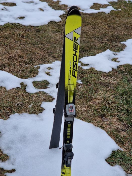 Schiuri Fischer SuperRaceSC