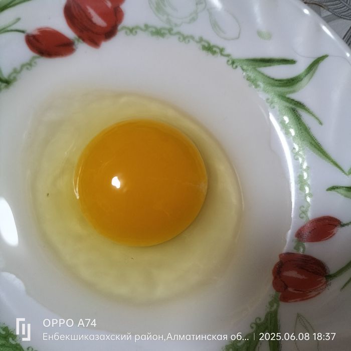 Домашнее яйца свежие