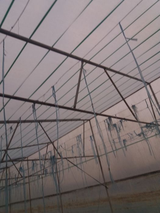 Жуда мустахкам нарсалар