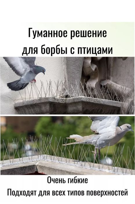 Отпугиватель птиц Шипы