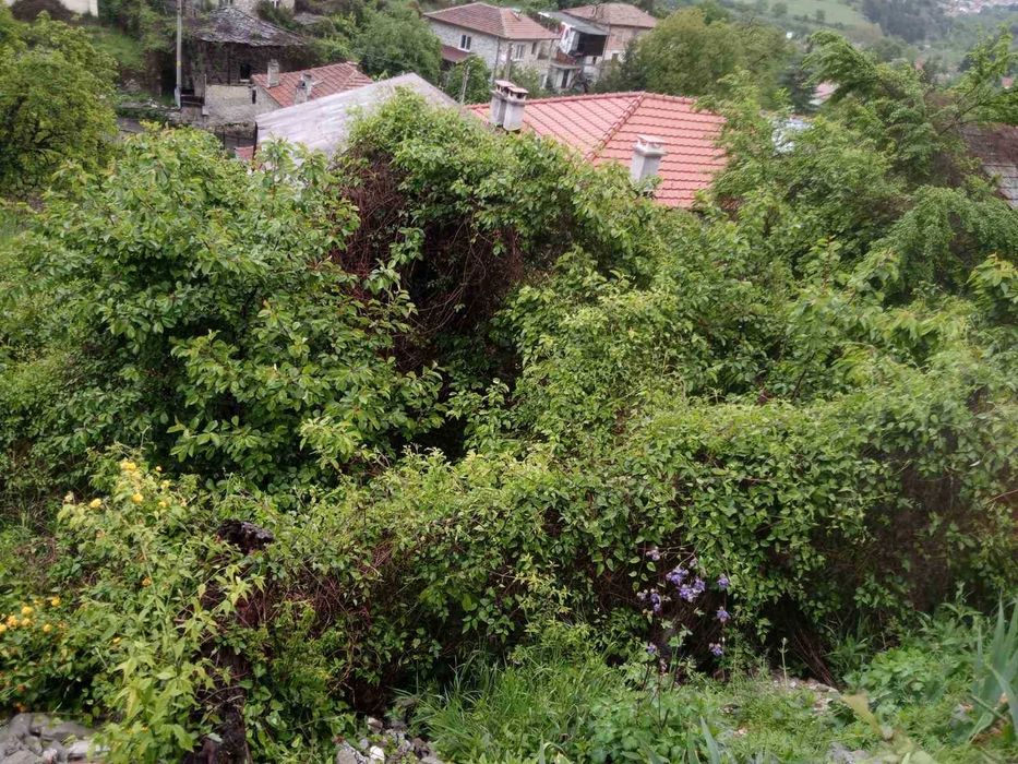 Продава се Парцел в с. Хвойна, Област Смолян - 380 кв.м за 22 €/кв.м - Снимка #3