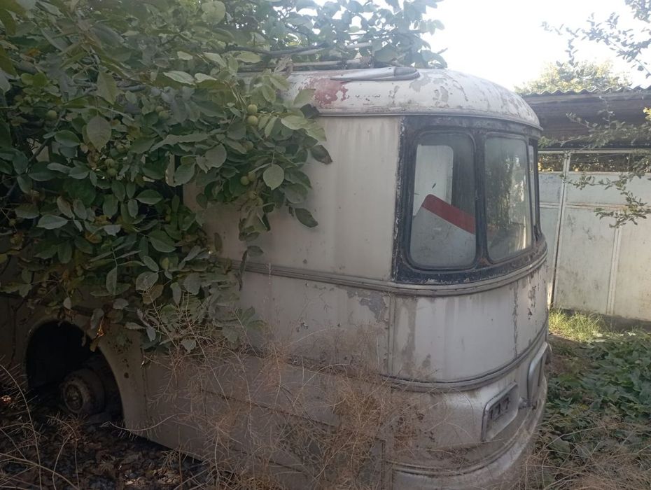 Автобус Икарус 620