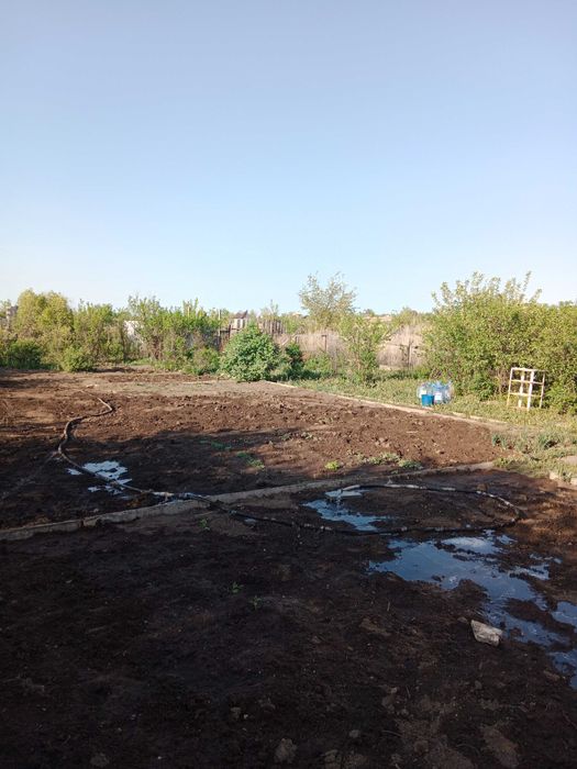 Продам Дачу в обществе Ёлочка