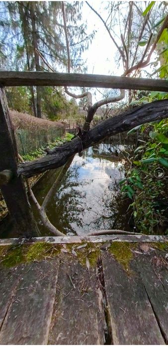 Дава се под наем Къща в с. Тученица, Област Плевен - 240 кв.м за 331.5 € - Снимка #19