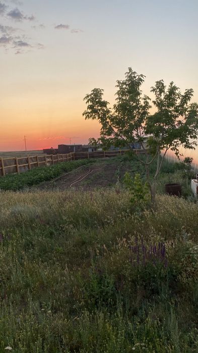 Продается хозяйство