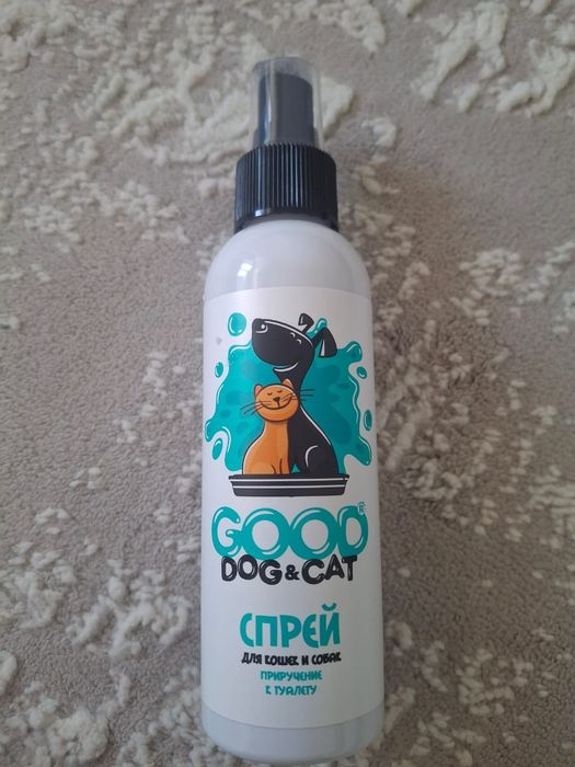 Мысық 1 айлық тегін береміз лотогымен бірге
