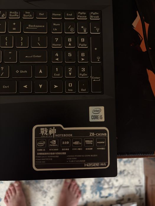Ноутбук Hasee Z8-CA5NB