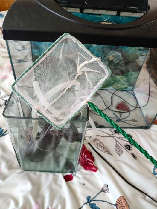 Acvariu 80L + accesorii