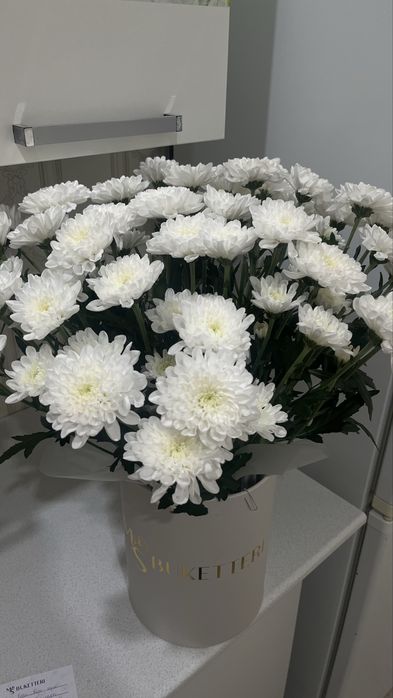 ромашки цветы…….