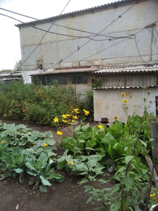 Продам дом с большим участком!