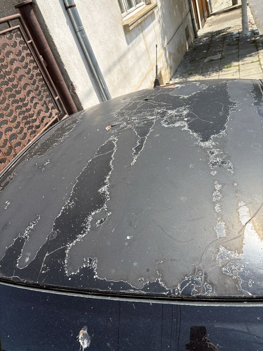 WV beetle  в движение