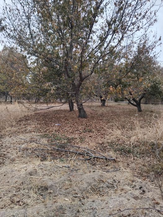 Срочно ер сотилади !