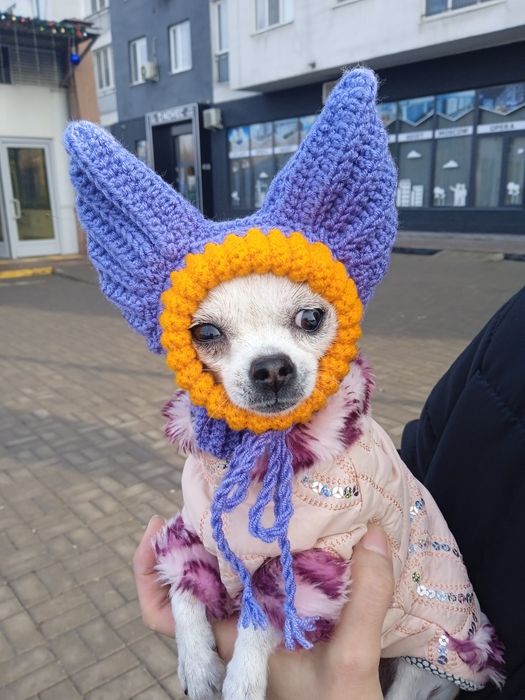 Шапочки для собак