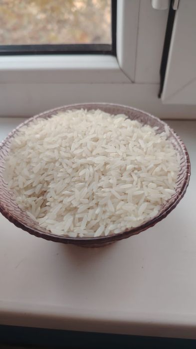 Күріш лазер /Рис лазер