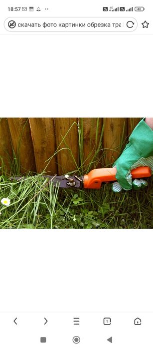 Шоп ору скосить траву