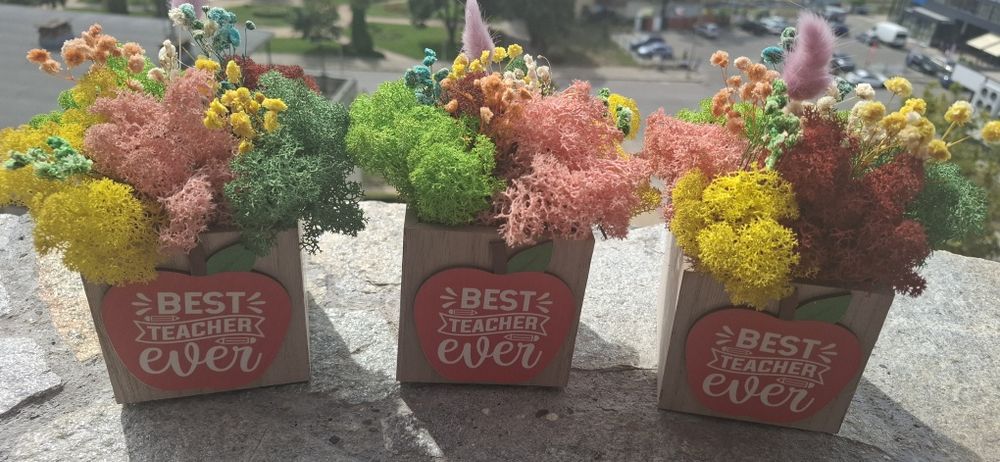 За най- добрия учител