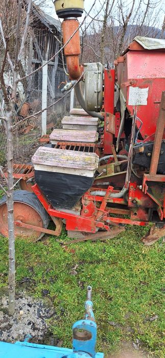 Schimb cu porumb cartofi grau