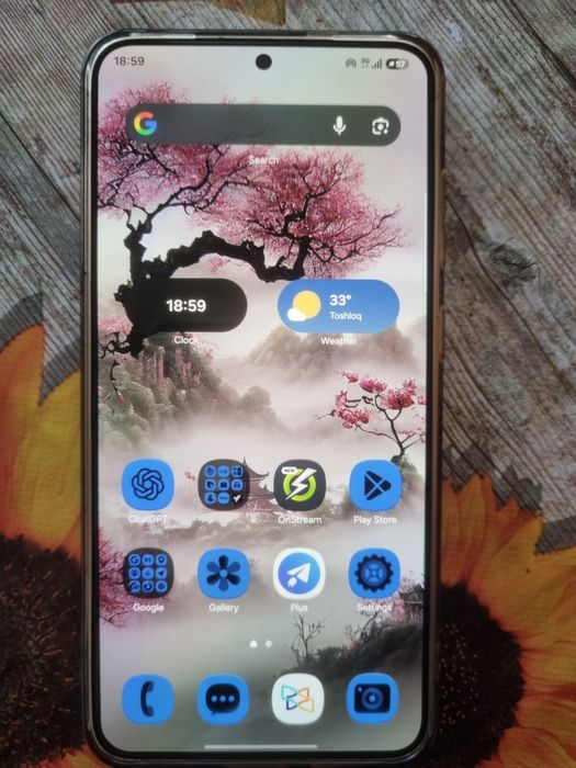 Samsung 24 plus  256/12