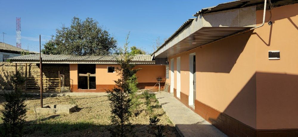 12 sotixlik kotta xovli sotiladi Yangiyul tuman