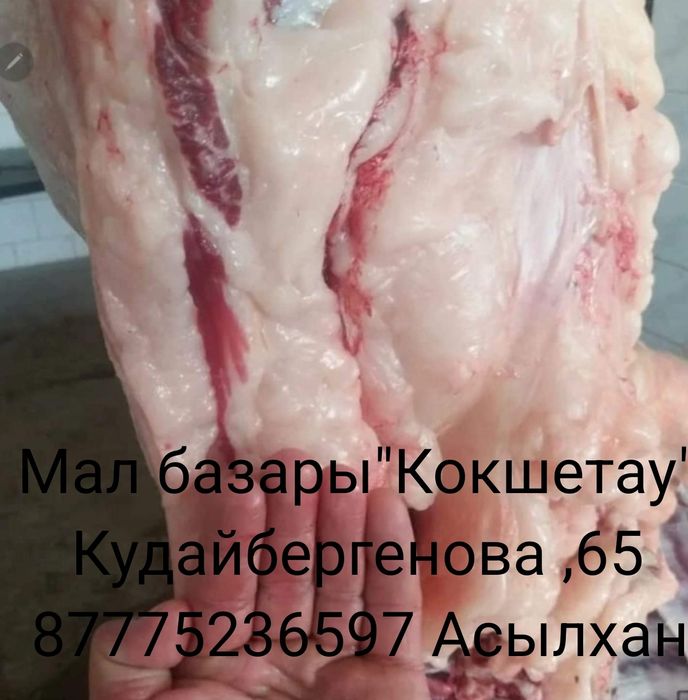 В постоянной продаже мясо конины ,копченное мясо.