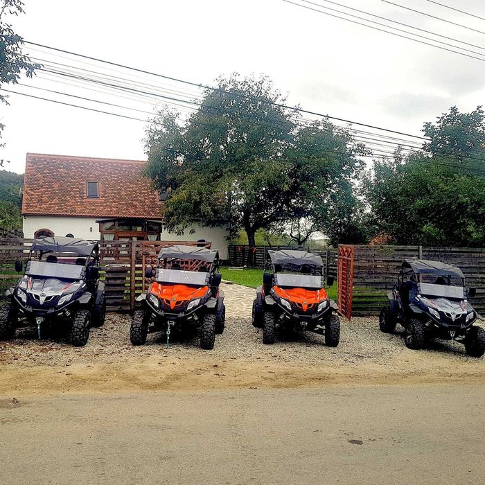 Vând pachet 5 buggy-uri – Ideal afacere închirieri / agreement