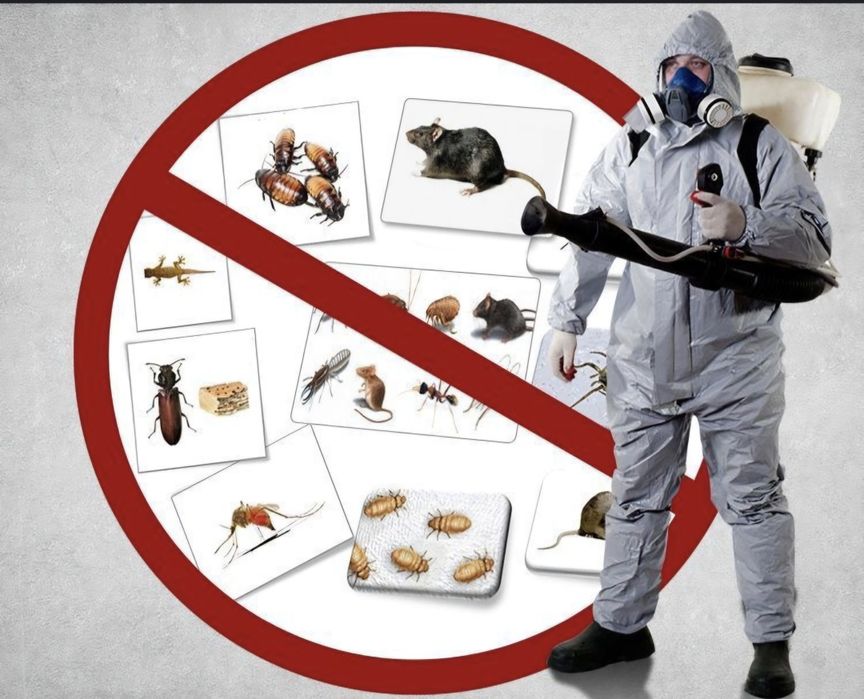 Dizenfeksiya dizenseksiya xizmati