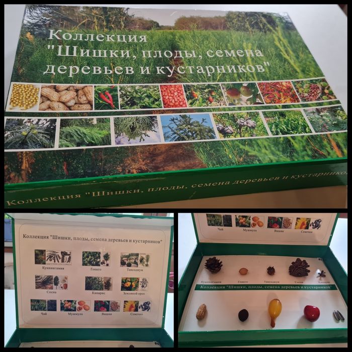 Шикарные наборы для коллекции